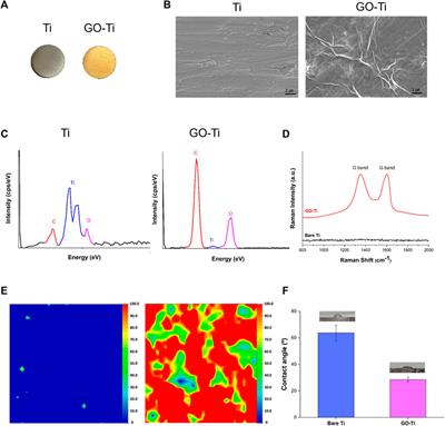 Regulation of astrocyte activity and immune response on graphene oxide-coated titanium by electrophoretic deposition